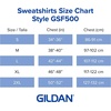 image:imageGildan Adult Softstyle Hoodie Sweatshirt Style GSF500Black