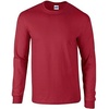 image:imageCotton 6 oz LongSleeve TShirt G240Ash Grey