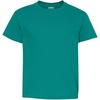 image:imageGildan   Youth Heavy Cotton  100 Cotton TShirt 5000B  SkyBlue
