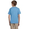 image:imageGildan   Youth Heavy Cotton  100 Cotton TShirt 5000B  SkyCarolina Blue