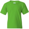 image:imageGildan   Youth Heavy Cotton  100 Cotton TShirt 5000B  SkyGreen