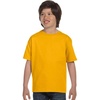 X-small gold