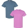 (1) Hthr Rdnt Orchid + (1) Indigo Blue